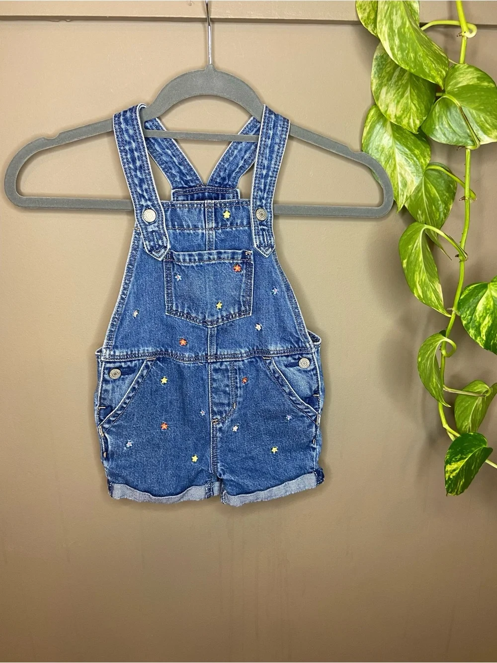 Baby Gap Floral Toddler Overall Shorts